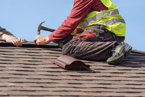 Best Roof Gutter Cleaning  in Pocahontas, IA
