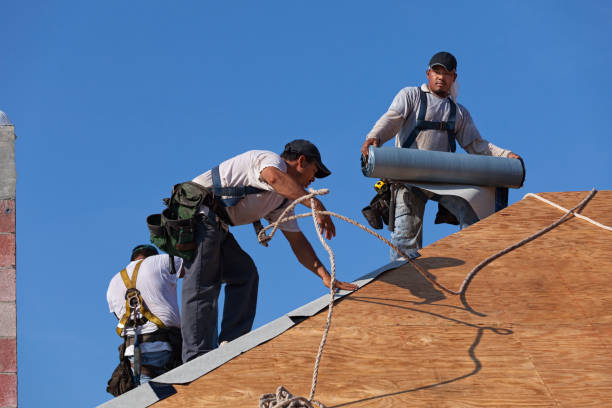 Best Local Roofing Companies  in Pocahontas, IA